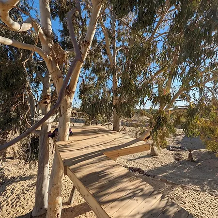 Hotel Cafour House Siwa - Hot Spring Siwa Oasis Exterior foto