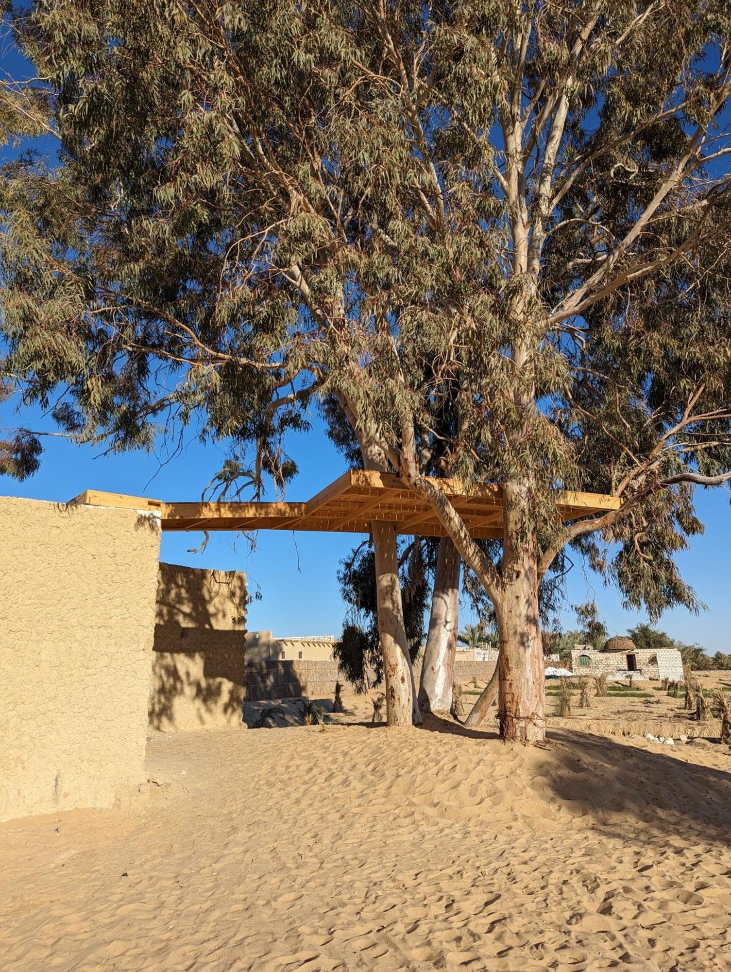 Campingplatz Cafour House Siwa - Hot Spring *