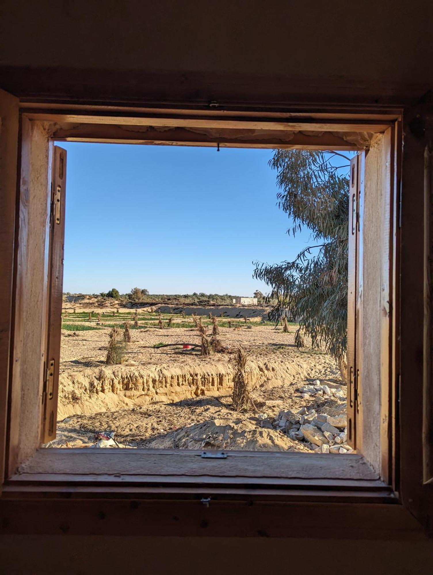Cafour House Siwa - Hot Spring Campingplatz Siwa Oasis