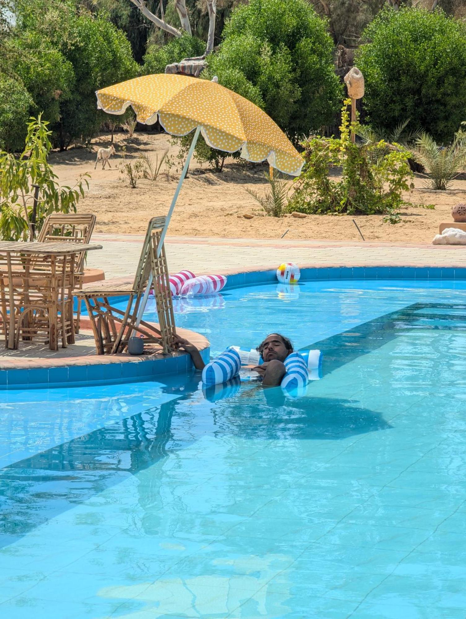Cafour House Siwa - Hot Spring مكان تخييم